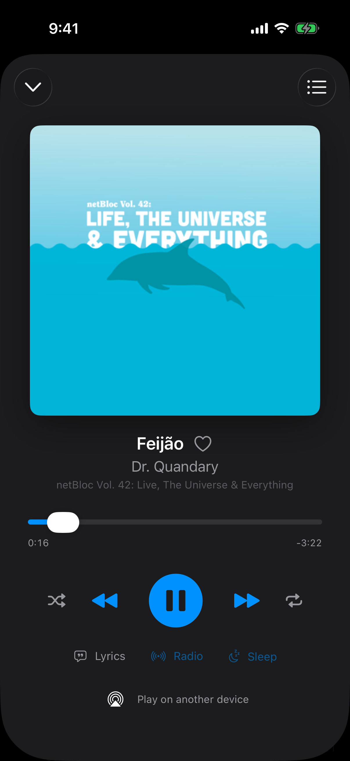 The Now Playing screen with artwork, a heart, playback controls, and Lyrics, Radio and Sleep buttons
